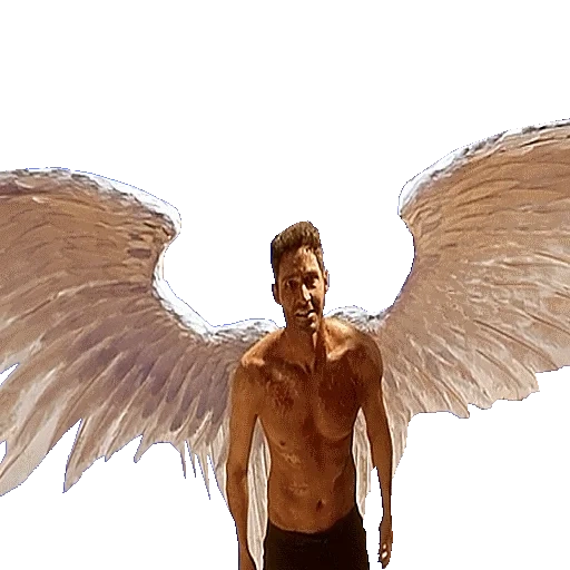 lucifer, male, angel boy, angel man, lucifer season 4
