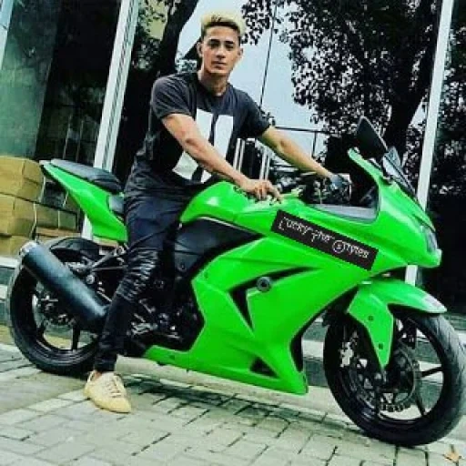 humano, kawasaki, zehen dinamarquês, motocicleta cavaki, kawasaki ninja 250r