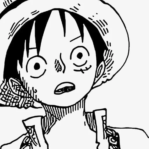 luffy, meme luffy, manki de luffy, satu piece luffy, manki de luffy manga