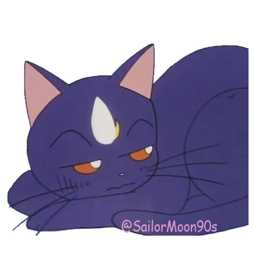 sailor moon, sailor moon cat, kucing pelaut, cat moon sailor door, merlot cat moon