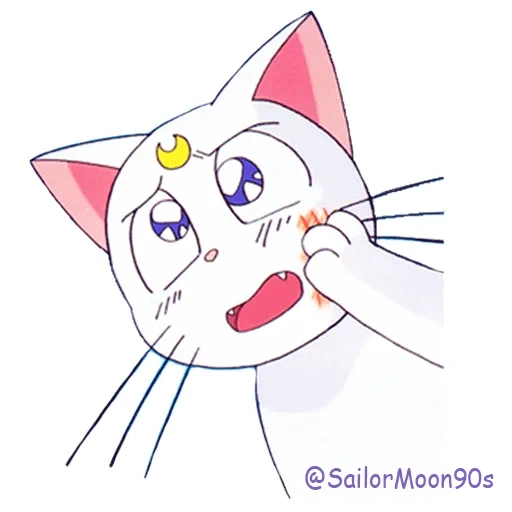sailor moon cat, selomen kucing artemis, artemis cat merlot, kucing marinir artemis, artemis sailor moon cat