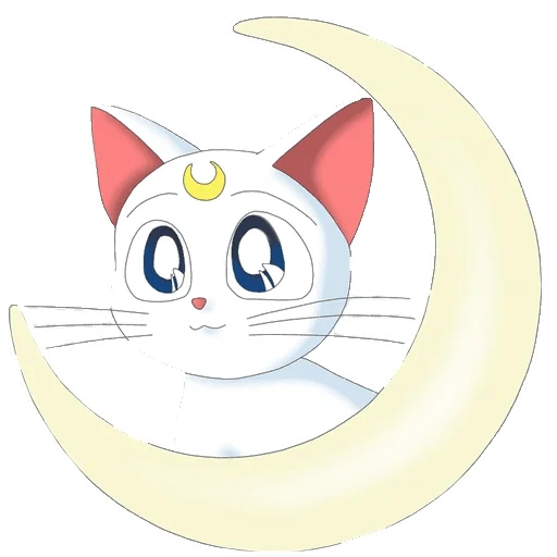 die katze merlot, sailor moon cat, cat moon sailor gate, die selomen-katze artemis, matrose moon moon cat