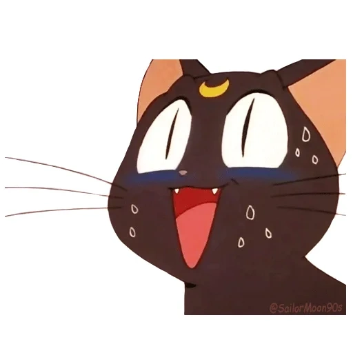 cat moon mariner gate, puerta de merlot de gato negro, melody gate moon, gato luna marinero luna, animación hermosa chica gato negro