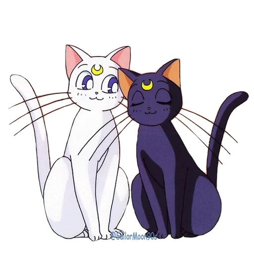 gato merlot, cat saylormoon, porta do marinheiro da lua do gato, lua de gato merlot, gato de marinheiro artemis