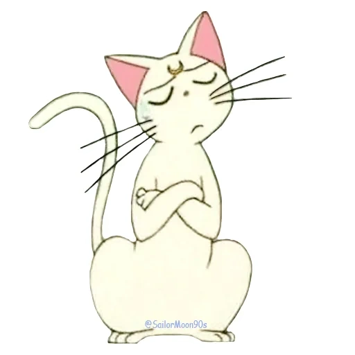 gato merlot, gato celomon artemis, merlot de gato artemis, rosto de gato merlot, fundo branco de gato artemis
