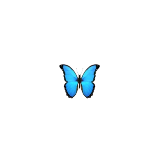 papillon, papillons, sourire papillon, papillon bleu, iphone souriant papillon