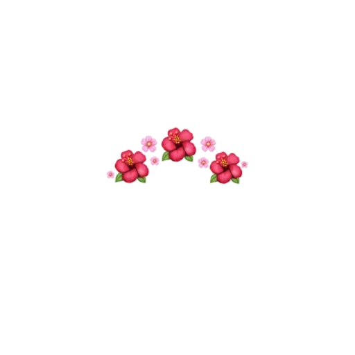 flowers without a background, small flowers, flowers with a white background, flowers above the head, picksart flowers with a transparent background