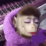 азиат, веселая обезьяна, обезьяна смешная, обезьяна макияжем, накрашенная обезьяна