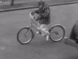 человек, велосипед, велосипед езда, велосипед смешной, лежачий велосипед