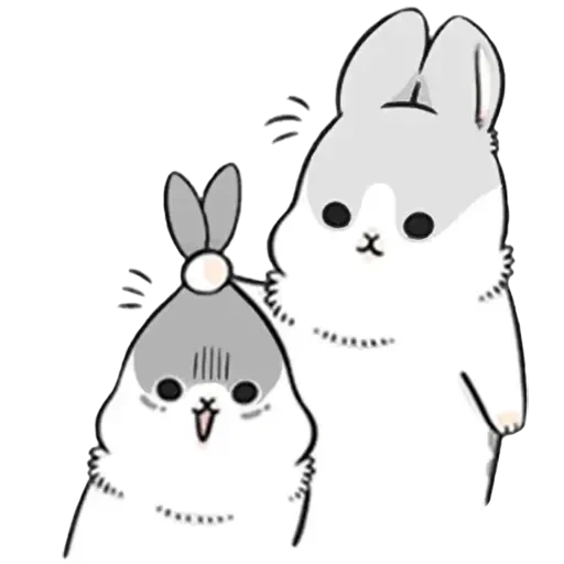 cat, rabbit, cute rabbit, little mu zi rabbit, true rabbit