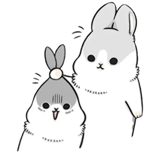 chat, lapin, cher lapin, lapin machiko, machiko rabbit