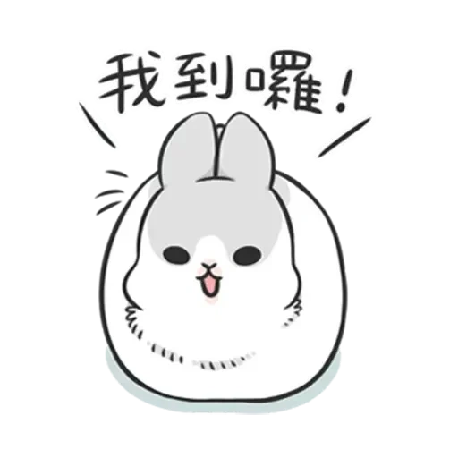 coelho, coelho, rabbit sneppi, bunny machiko, rabbit machiko