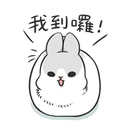 little rabbit, rabbit, snoopy rabbit, true rabbit, little mu zi rabbit