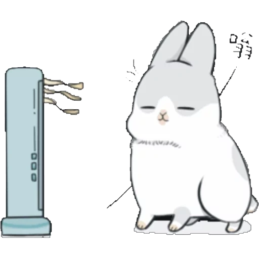 cat, dear rabbit, machiko rabbit, rabbit machiko, machiko rabbit