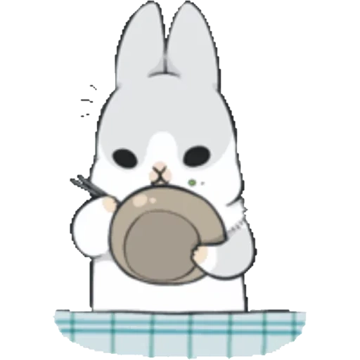 machiko, rabbit machiko, rabbit sneppi, rabbit machiko, rabbit de machiko