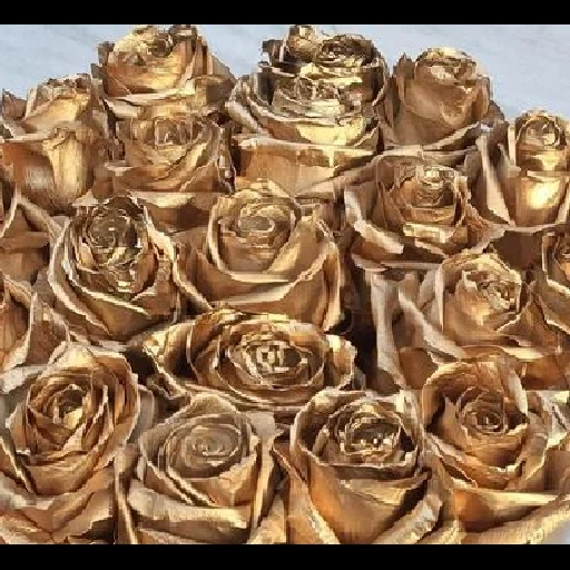 роза золотая, розы красивые, роза блэк голд, букет роз фольги, золотая роза подарок