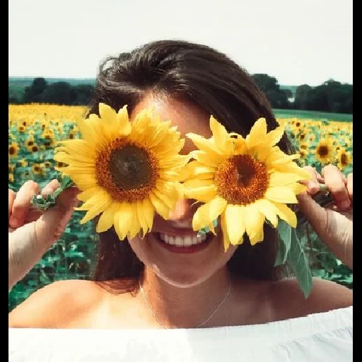 girasol, подсолнух, поле подсолнухов, фотосессия подсолнухами, девушка счастливая подсолнухи