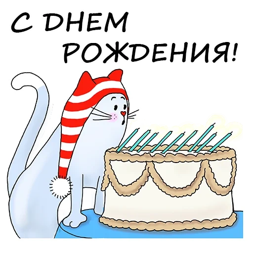 seal, birthday, happy birthday cat, birthday card, happy birthday cool postcard