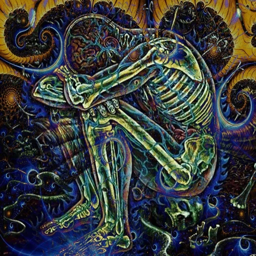 alex gray, lsd, painting psychedelic, crâne psychédélique, alex gray peint le miroir sacré