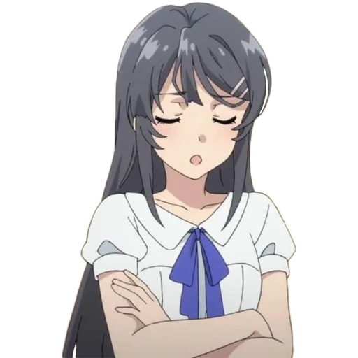 anime, sakurajima, anime girl, personaggio di anime, seishun buta yarou wa bunny