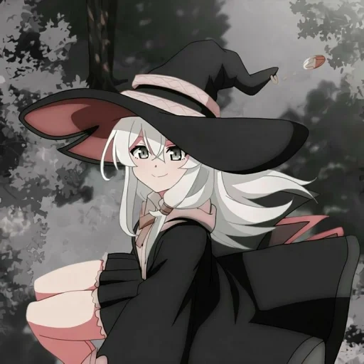 sorcière, anime d'elaine, anime de sorcière, anime magique gris, voyage anime d'elaine