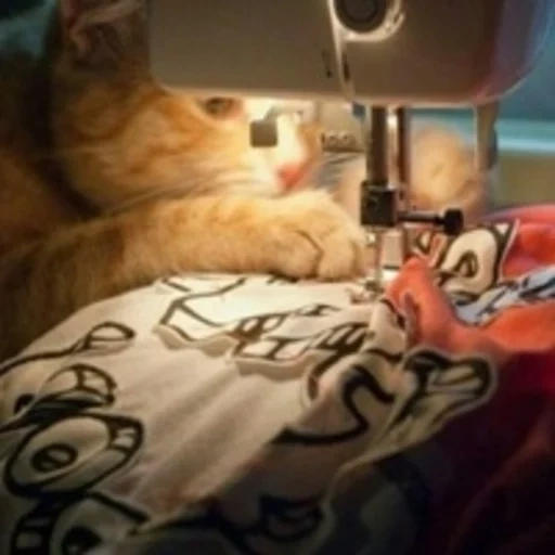 кот, швейная машина, кот швейная машинка, коты швейные машинки, кошка швейная машинка