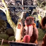 скриншот, обезьяна, джунгли обезьяны, обезьяна пирожками, дрессированные обезьянки