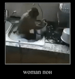 приколы, на кухне, мыть посуду, обезьяна моет посуду, обезьянка моется раковине
