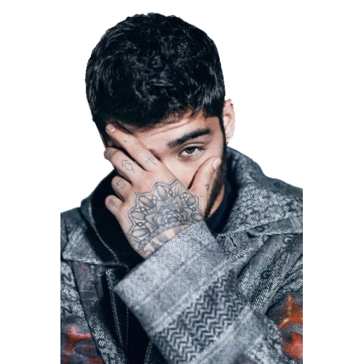 zayn, zane, caricamento in corso, zane malik, schizzo animale