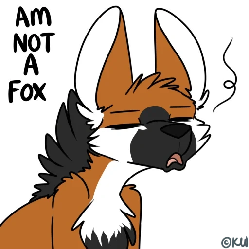 fox, o fox, furi, fury fox, fox fury