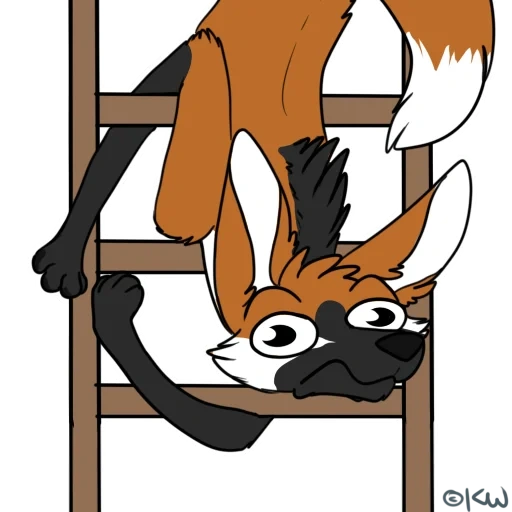 fox, animación, patrón de zorro, cansado zorro, broma sobre furry matom