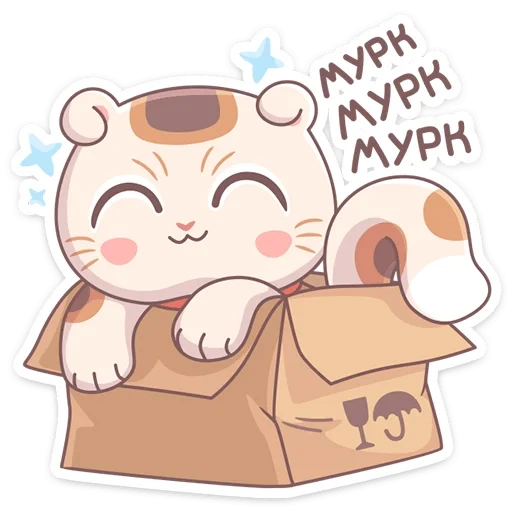 cat, lovely, mitao cat, cute cat box, cute cat pattern
