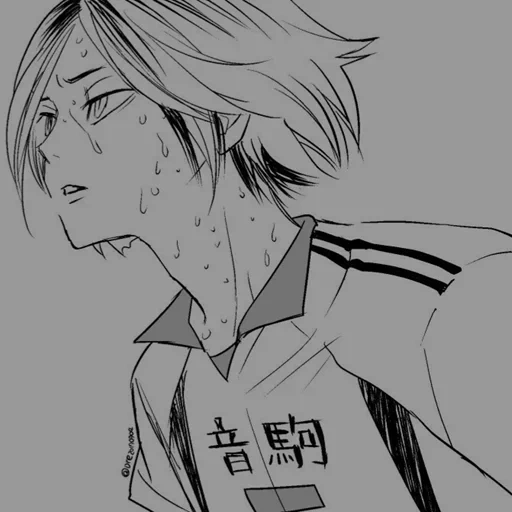 manga de animación, voleibol de animación, personajes de animación, manga de voleibol de animación, taquigrafía de voleibol de kenma