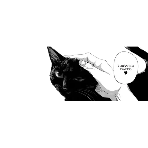 кошка, кот манги, чёрная кошка, манга котики, котенок манга