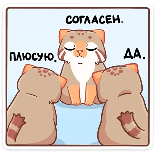 pacchetto, manul ur, manul ur cookie