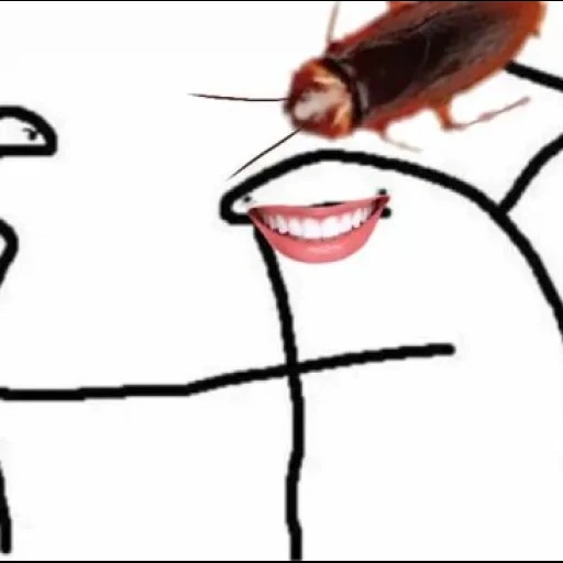мемы с тараканами, таракан мем, мемы, лютые приколы жизненные мемы, веселые мемы