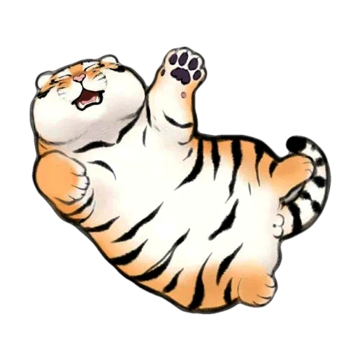 um tigre gordinho, o tigre é engraçado, tigre gordo, bu2ma_ins tiger, arte do tigre gordinho