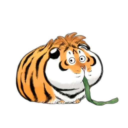 o tigre é engraçado, tigre gordo, caráter tigre, tiger tigerok, bu2ma_ins tiger
