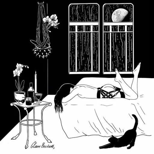 chat, lit, glam becket, dessins noirs, nuit pluvieuse