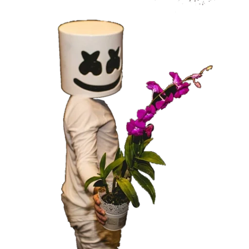 домашнее растение, marshmello, маршмеллоу мультяшный, маршмеллоу певец, маршмеллоу певец раскраска