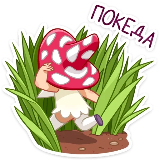 mushrooms, amanita, mushroom clip