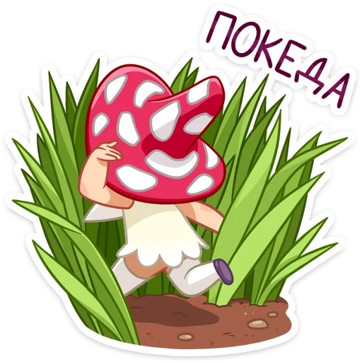 champignons, prospectus, champignons clipart