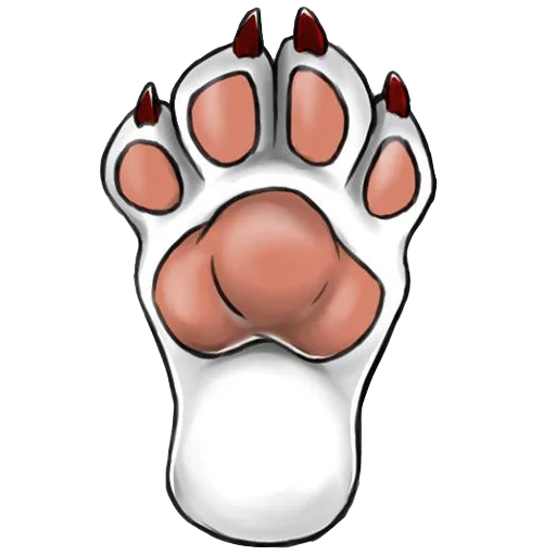 foot, the claws of a dog, paw print, frie's front paws