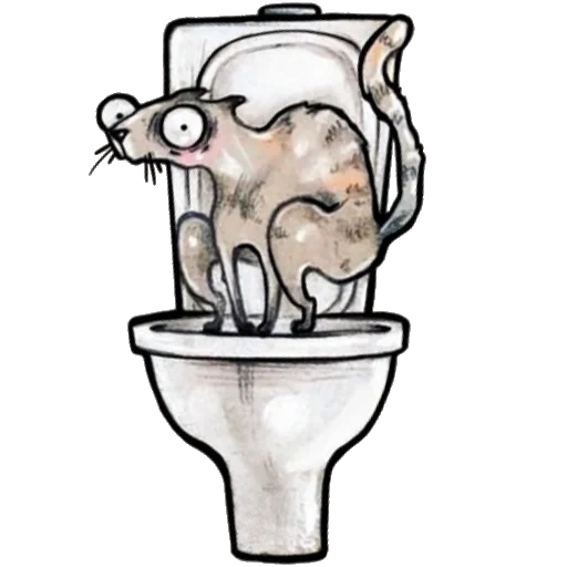 cat, toilet, cat pop, cats of aesthetes, cat caricature
