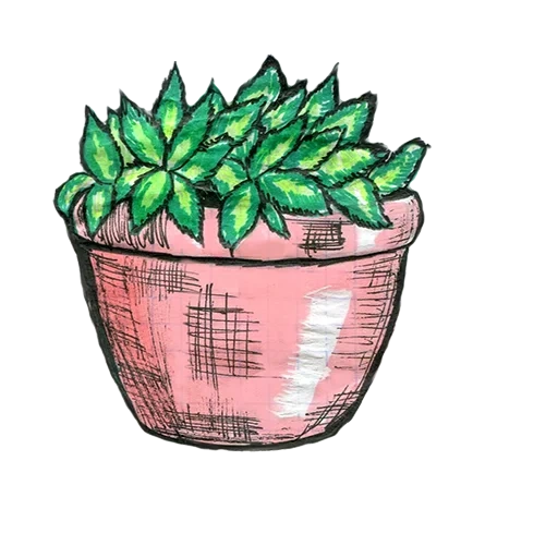 croquis de cactus, plante charnue de cactus, plantes domestiques, plante charnue à crayon, illustration d'une plante charnue