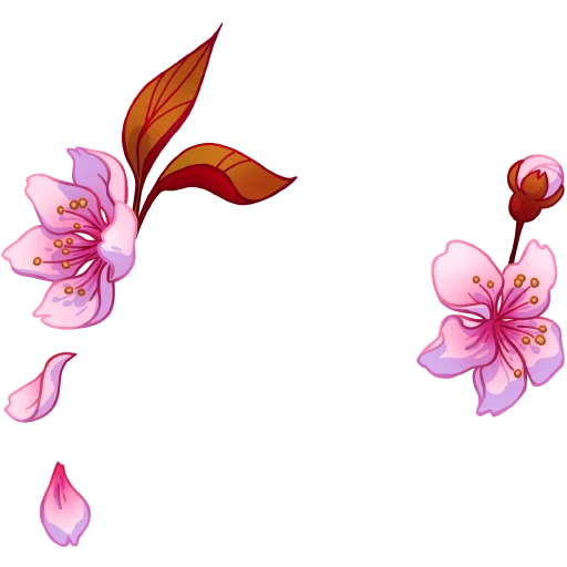 цветочный фон, сакура вектор, лепестки цветов, розовые цветы вектор, ветка сакуры ботаника