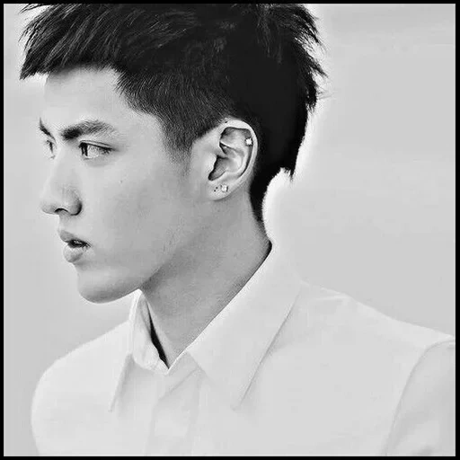 guys haircuts, chris exso tail, korean haircut, exo chris wu crown, asian hairstyles are male