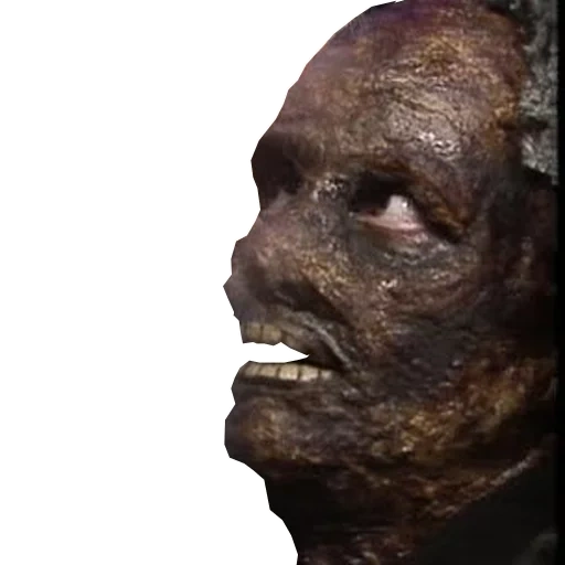 humano, heinrich's head 4, estatua de salah egipto, destruido más bajo los átomos, destruido más bajo los átomos de meme