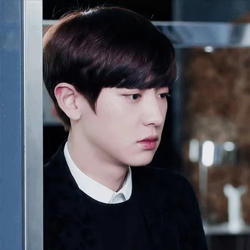 menyimpan, pak chanyeol, exo di sebelah, aktor korea, polisi drama pinocchio