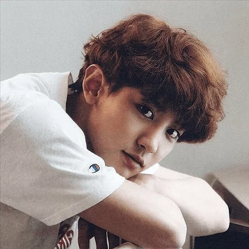 young man, canel, park chang-lie, exo chanyeol, parker canel profile